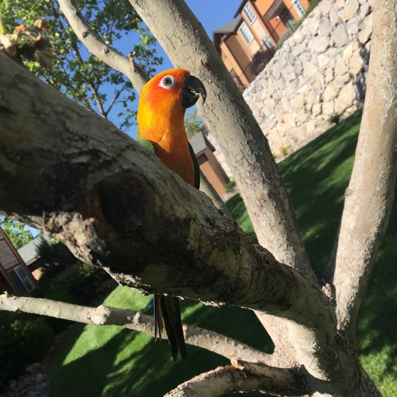 Meet your Poshers, Tara & Pete - Picture 5 of 8